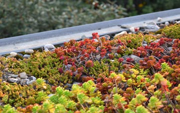 the cost of Halket green roof installation